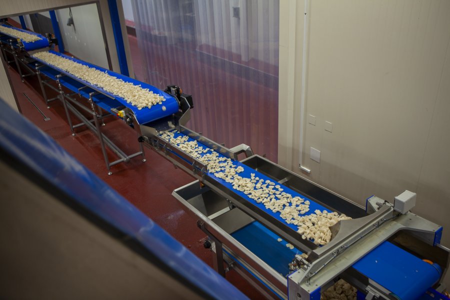 Wilthagen | Producten img02