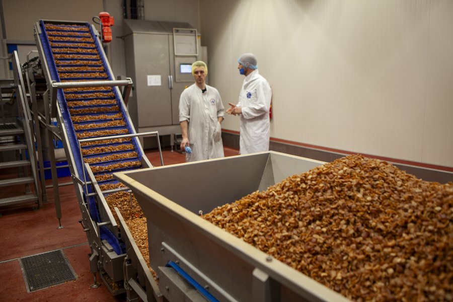 Wilthagen | Historie img-2