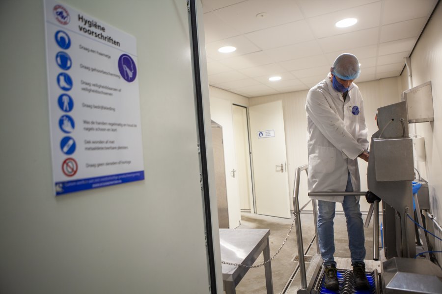 Wilthagen | Processen img-2