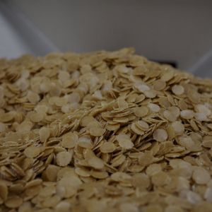 Wilthagen | Proteïne Snacks overlay dark